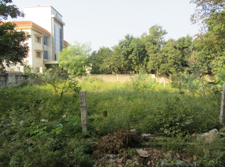 100 Ankanams East Facing Plot for Sale in Vidyanagar Colony, Tirupati